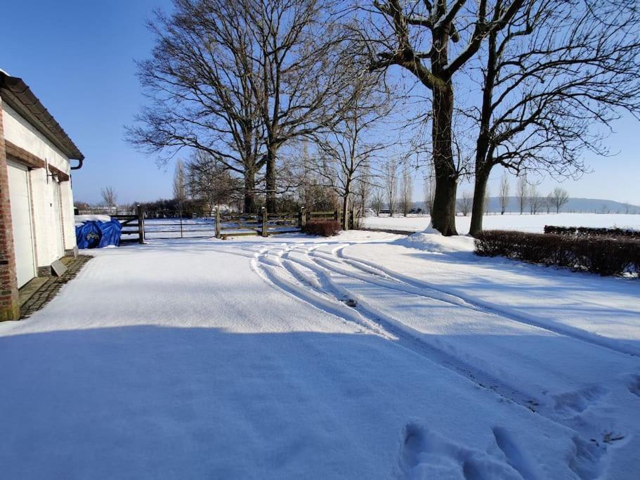 The Horst Cottage Holsbeek Exterior photo