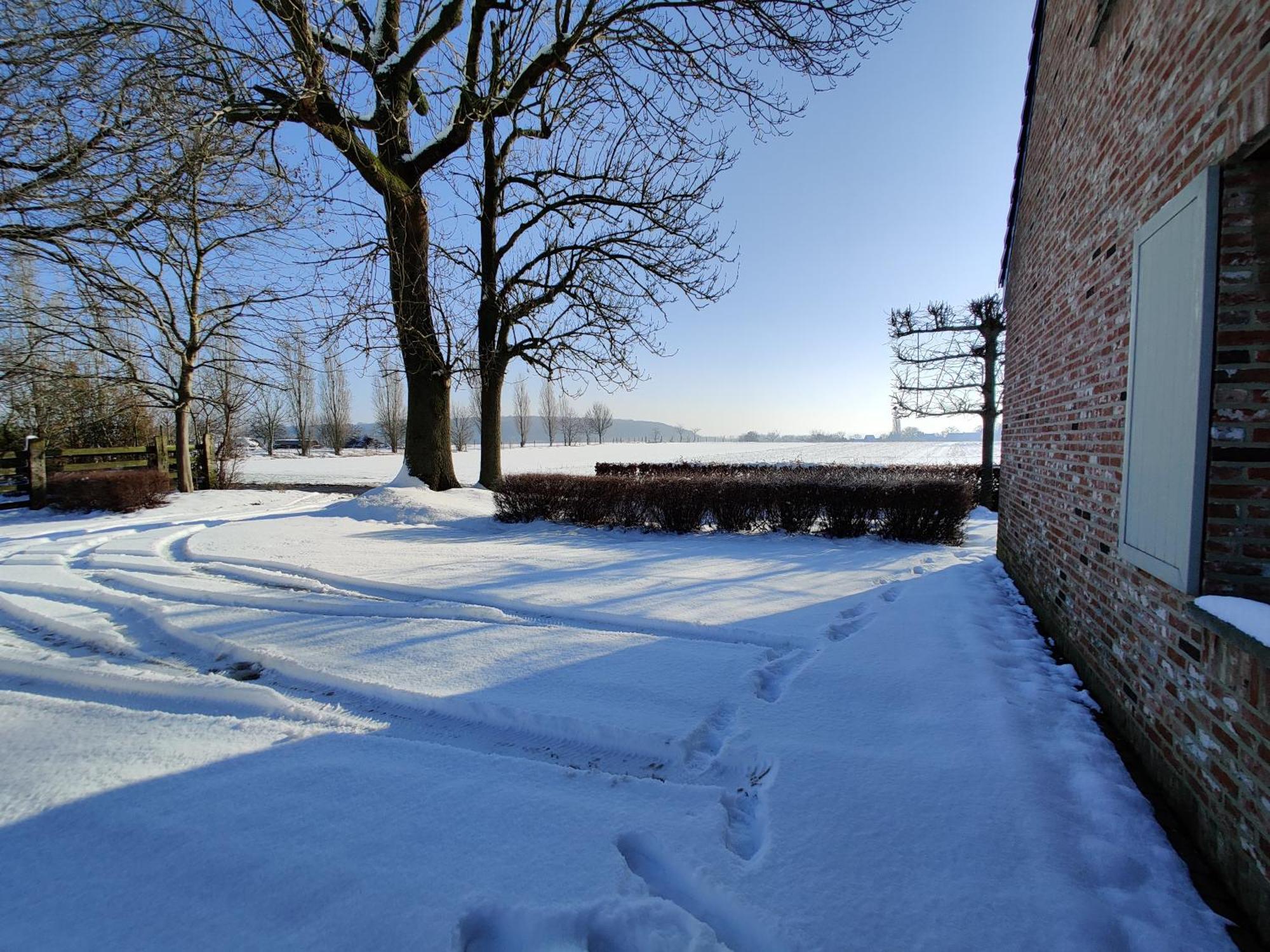 The Horst Cottage Holsbeek Exterior photo